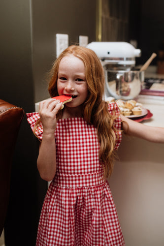 Girls Frilly Christmas Gingham Dress