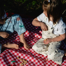Play&Go - 3-in-1 Outdoor Playmat & Toy Bag - Picnic