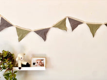 Cotton Bunting