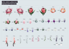 Protea Province Wall Art