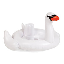 PRE-ORDER: Baby Swan Float