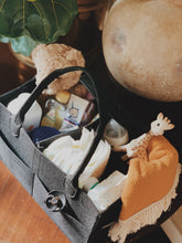 Felt Nappy Organizer