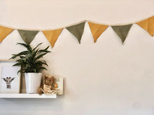 Cotton Bunting
