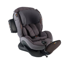 BeSafe® IZi Plus X1 (Rear Facing)