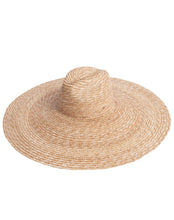 Fedora Crown Wide Brimmed Hat - Plain