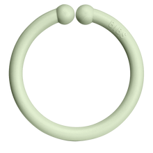 BIBS Loops