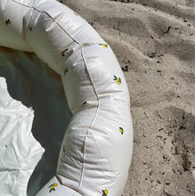 Lemon Inflatable Swimming Pool/Ball Pond