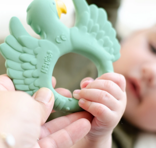 Parrot Teether