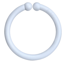 BIBS Loops