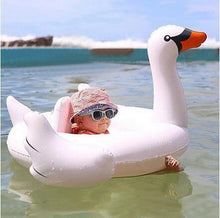 PRE-ORDER: Baby Swan Float