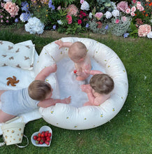 Lemon Inflatable Swimming Pool/Ball Pond
